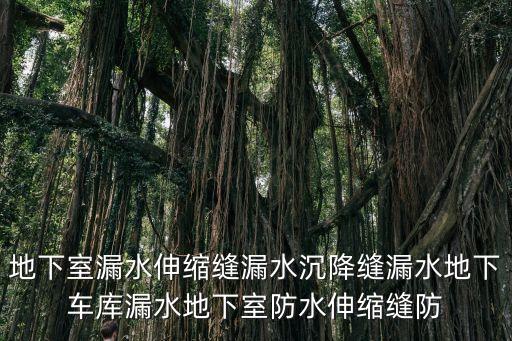 東莞車庫地下室堵漏報價，地下室防水多少錢一個平方