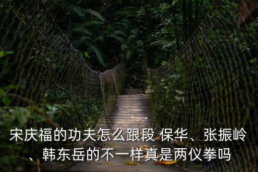 段保華