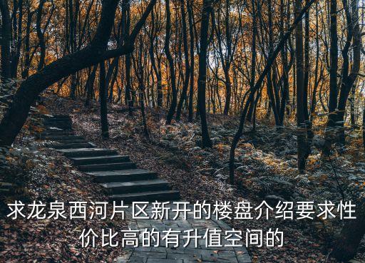 求龍泉西河片區(qū)新開的樓盤介紹要求性價比高的有升值空間的
