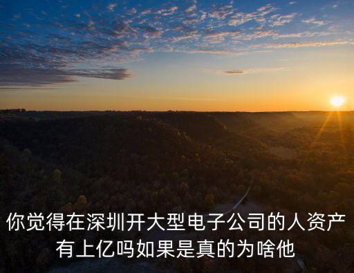 你覺得在深圳開大型電子公司的人資產(chǎn)有上億嗎如果是真的為啥他