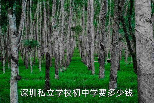 深圳泰然學校學費，深圳那些藝校適合512歲的孩子就讀