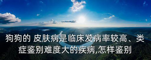 寄生蟲性皮膚病,貓咪最常見的皮膚病及癥狀