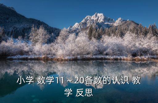 小學 數學11～20各數的認識 教學 反思