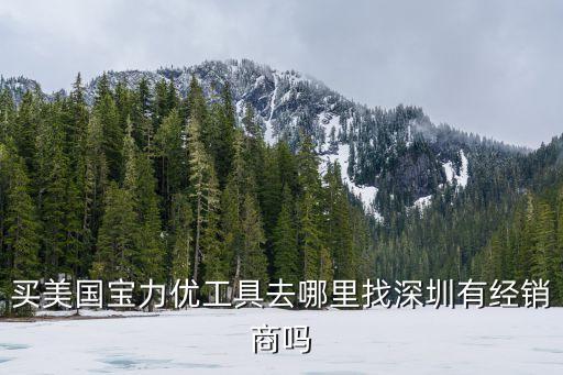 買美國寶力優(yōu)工具去哪里找深圳有經(jīng)銷商嗎
