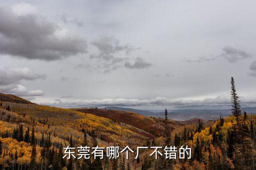 東莞有哪個廠不錯的