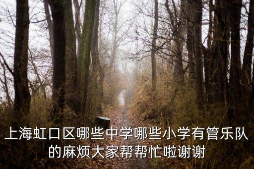 上海虹口區哪些中學哪些小學有管樂隊的麻煩大家幫幫忙啦謝謝