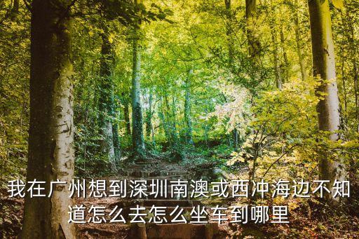 我在廣州想到深圳南澳或西沖海邊不知道怎么去怎么坐車到哪里