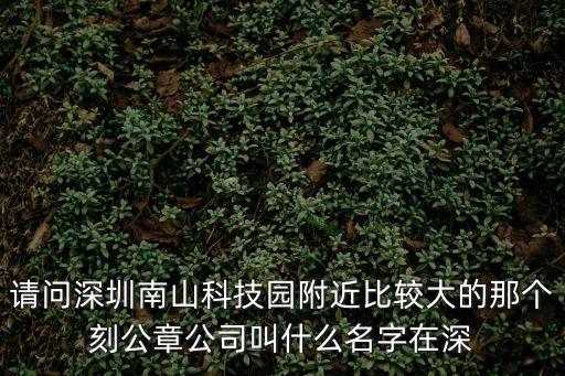 請問深圳南山科技園附近比較大的那個刻公章公司叫什么名字在深