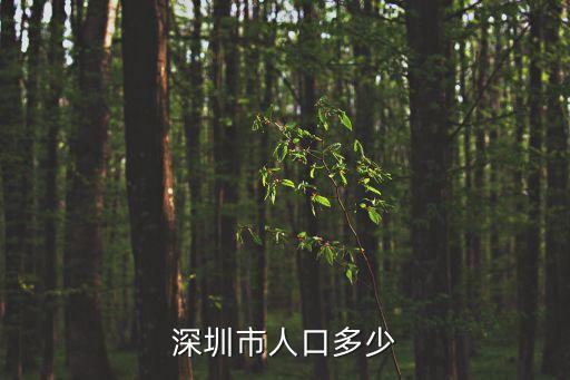深圳市人口多少