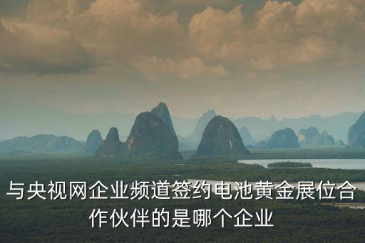 與央視網企業頻道簽約電池黃金展位合作伙伴的是哪個企業