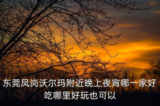 東莞鳳崗沃爾瑪附近晚上夜宵哪一家好吃哪里好玩也可以