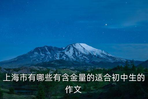 上海市有哪些有含金量的適合初中生的作文
