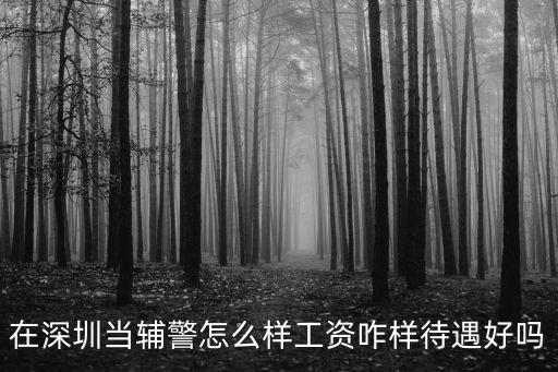 在深圳當(dāng)輔警怎么樣工資咋樣待遇好嗎