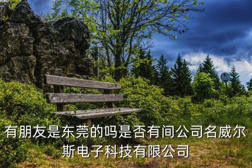 有朋友是東莞的嗎是否有間公司名威爾斯電子科技有限公司