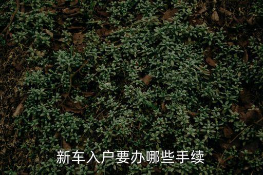 新車入戶要辦哪些手續