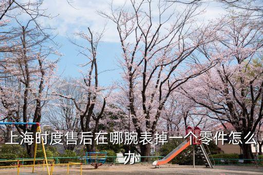 上海時度售后在哪腕表掉一個零件怎么辦