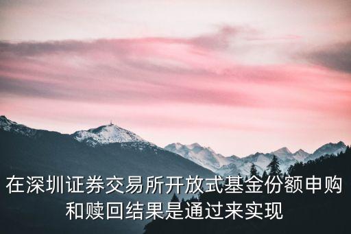 深圳證券交易所秦湘，深股全名叫什么