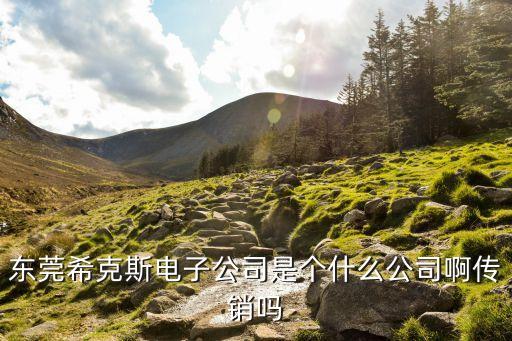東莞帝克斯電子廠，東莞希克斯電子公司是個什么公司啊傳銷嗎