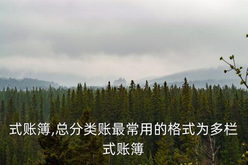 式賬簿,總分類賬最常用的格式為多欄式賬簿
