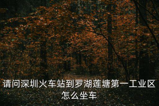 請問深圳火車站到羅湖蓮塘第一工業區怎么坐車