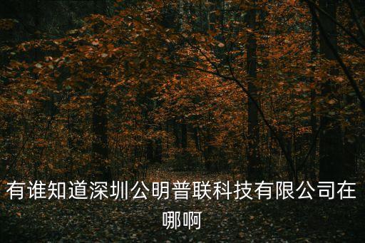 有誰知道深圳公明普聯(lián)科技有限公司在哪啊