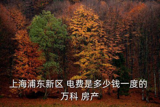 上海浦東新區(qū) 電費(fèi)是多少錢(qián)一度的 萬(wàn)科 房產(chǎn)