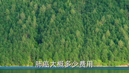 深圳肺癌臨終住院費用，癌癥住院臨終關懷要花多少錢我想大概確定這個問題因為錢不  搜
