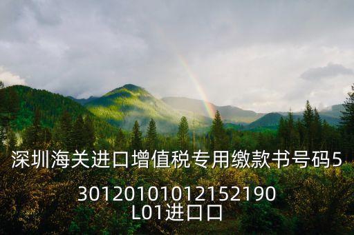 深圳海關進口增值稅專用繳款書號碼530120101012152190L01進口口