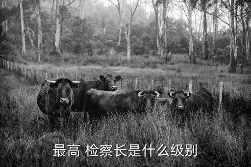 最高檢察院檢察長,檢察院檢察長職務名單出爐!首次公開