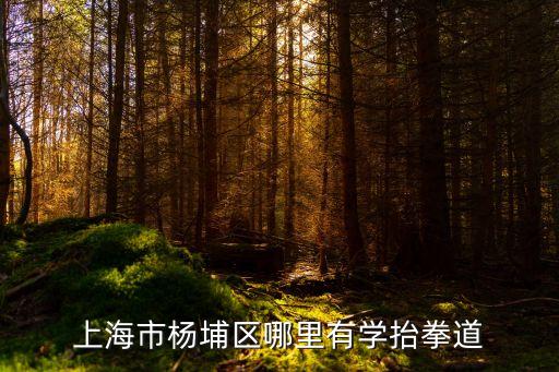 上海市體育運動學校師資力量，上海市楊埔區哪里有學抬拳道