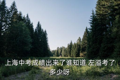 上海中考成績出來了誰知道 左溢考了多少呀