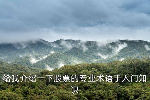 給我介紹一下股票的專業術語于入門知識