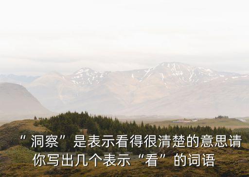 洞察的意思,自我洞察的意思