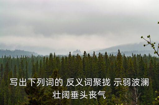 示弱的反義詞,反義詞集會示弱垂頭喪氣:精神十足得意洋洋