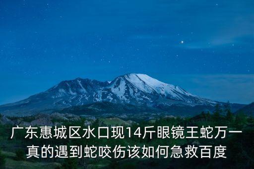 廣東惠城區水口現14斤眼鏡王蛇萬一真的遇到蛇咬傷該如何急救百度