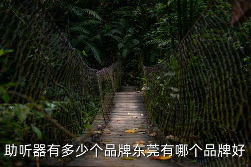 助聽器有多少個品牌東莞有哪個品牌好