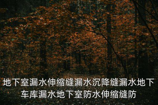 地下室漏水伸縮縫漏水沉降縫漏水地下車(chē)庫(kù)漏水地下室防水伸縮縫防