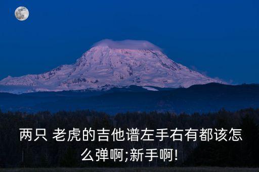 兩只 老虎的吉他譜左手右有都該怎么彈啊;新手啊!