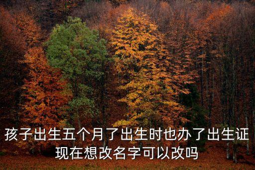 31歲東莞可以改名字嗎，我今年31歲了想把我名字里的最后一個字改了可以嗎