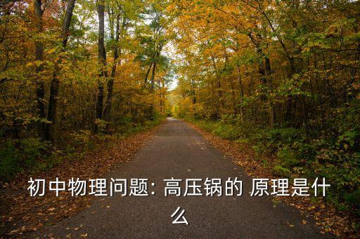 初中物理問題: 高壓鍋的 原理是什么