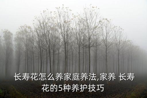 長壽花介紹,長壽花什么時候開花?一起來學習一下