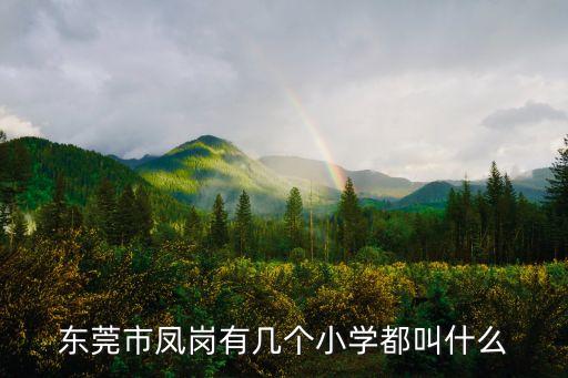 東莞鳳崗寄宿小學排名，東莞市有什么好點的全寄宿學校小學生