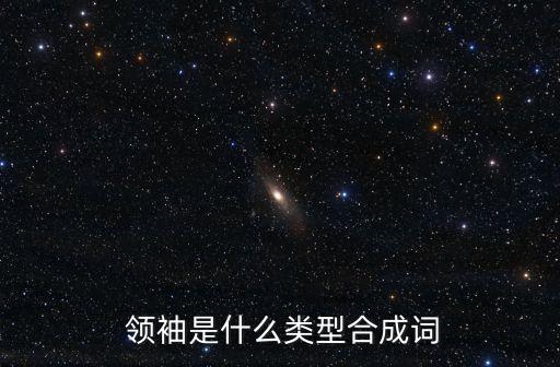  領袖是什么類型合成詞