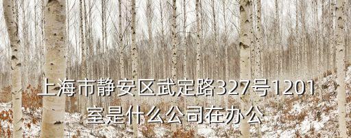 上海市紐培包裝，上海市河南南路33號23樓a座是家什么公司