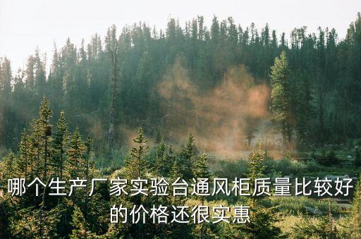 哪個生產廠家實驗臺通風柜質量比較好的價格還很實惠