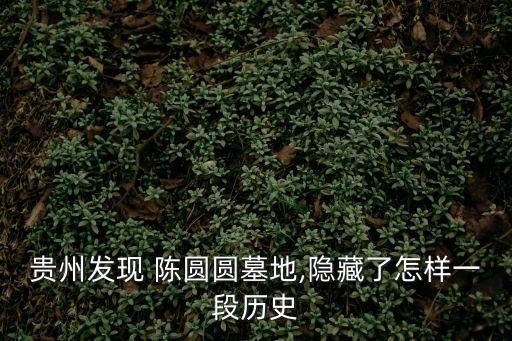 貴州發(fā)現(xiàn) 陳圓圓墓地,隱藏了怎樣一段歷史