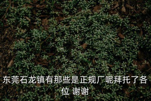 東莞石龍鎮有那些是正規廠呢拜托了各位 謝謝