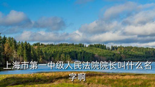 上海市第一中人民法院姚躍，上海市第一中級人民法院院長叫什么名字啊