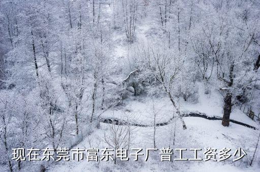 現(xiàn)在東莞市富東電子廠普工工資多少
