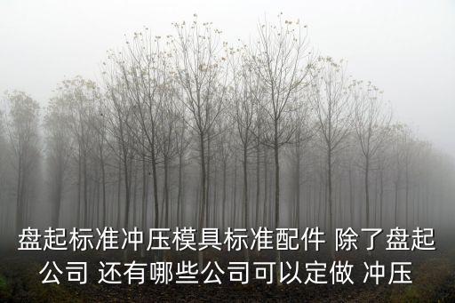 盤起標準沖壓模具標準配件 除了盤起公司 還有哪些公司可以定做 沖壓